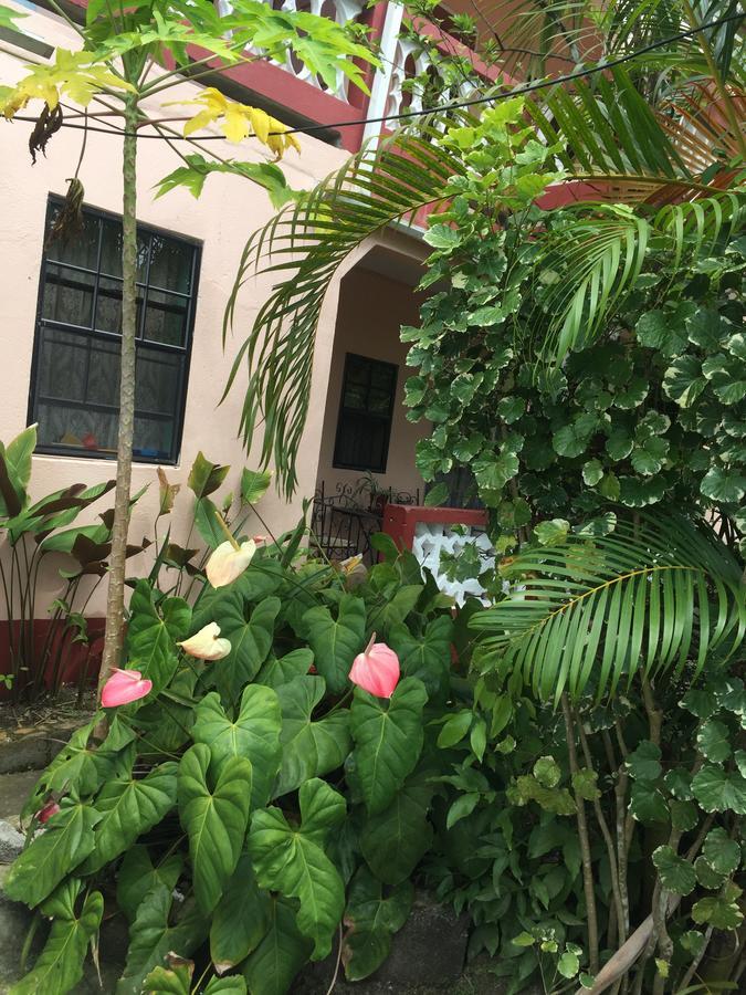 Anne'S Homestay Banse Экстерьер фото